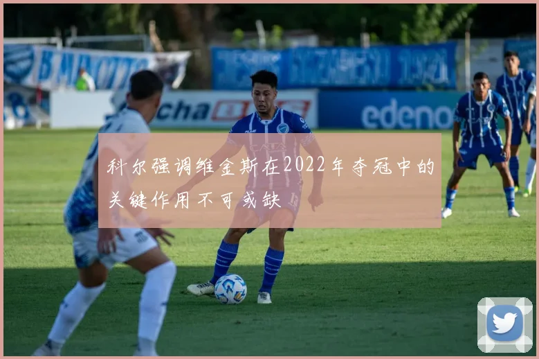 科尔强调维金斯在2022年夺冠中的关键作用不可或缺