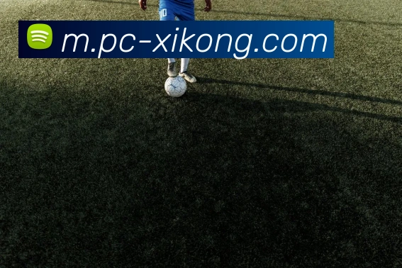 登录器