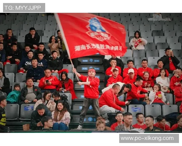 2025-2026赛季NBL常规赛第十轮积分榜最新动态分析与球队表现总结